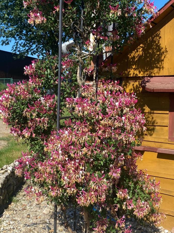 Izerski Poranek Holiday home