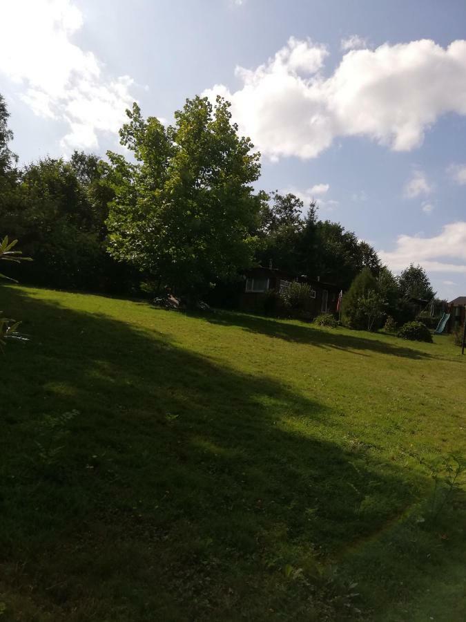 Izerski Poranek Gryfow Slaski